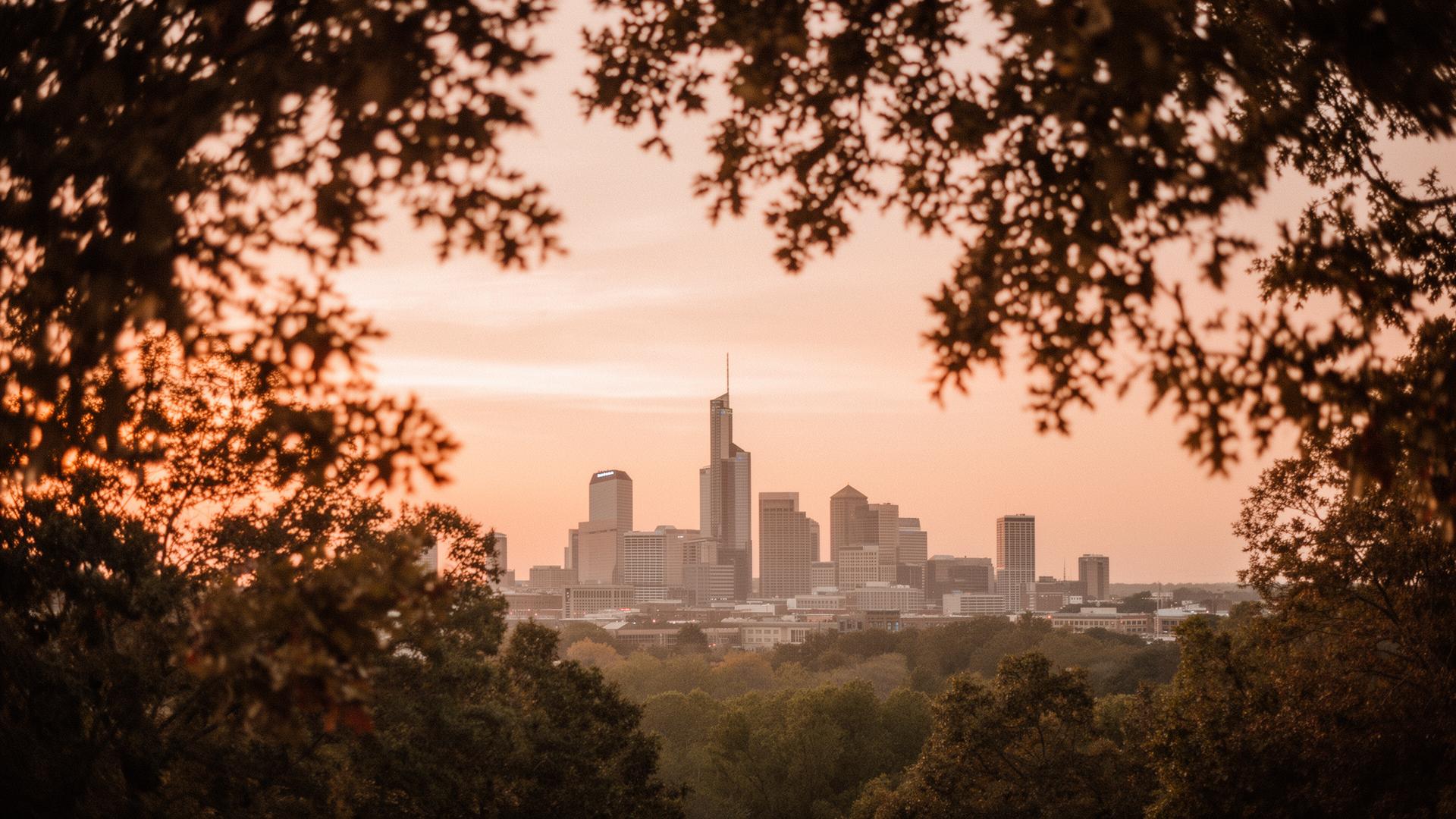 Atlanta skyline at golden hour through tree canopy